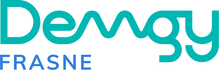 Logo DEMSY